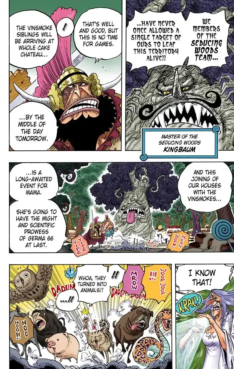 One Piece - Digital Colored Comics Chapter 836 8